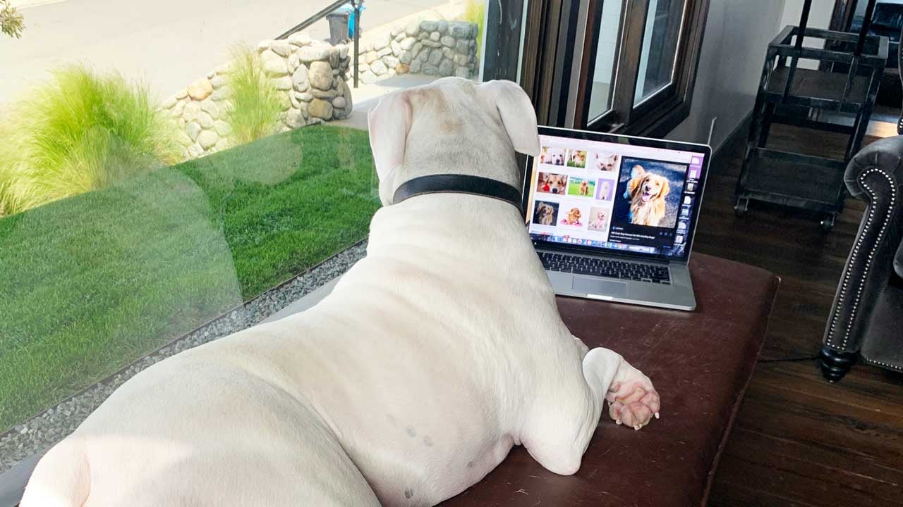 Clarity Work From Home Office