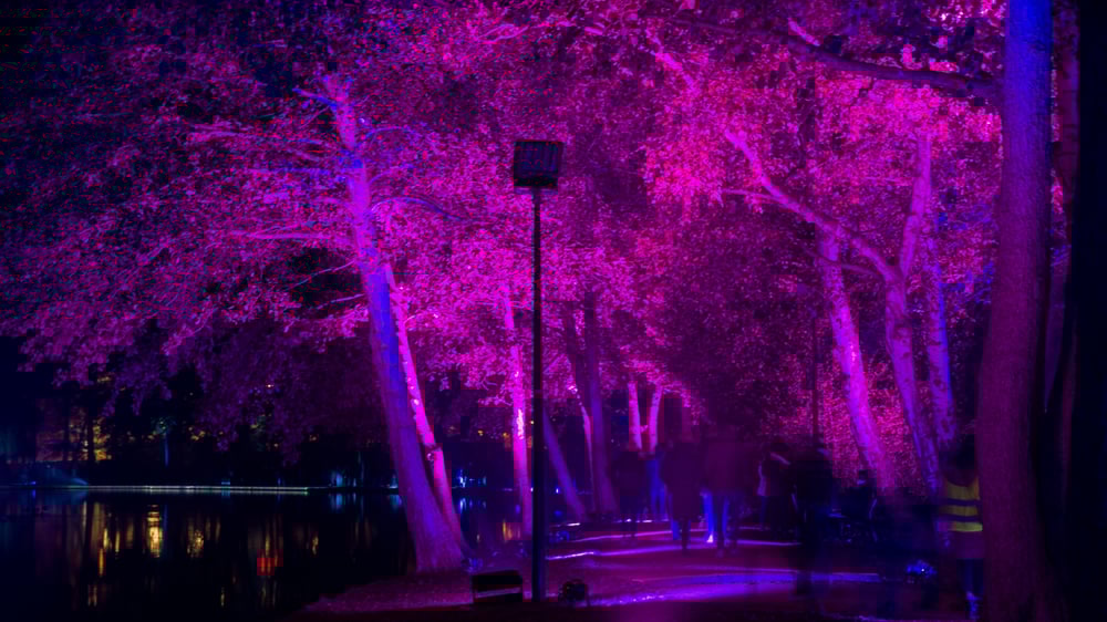 Feature image of uplighting