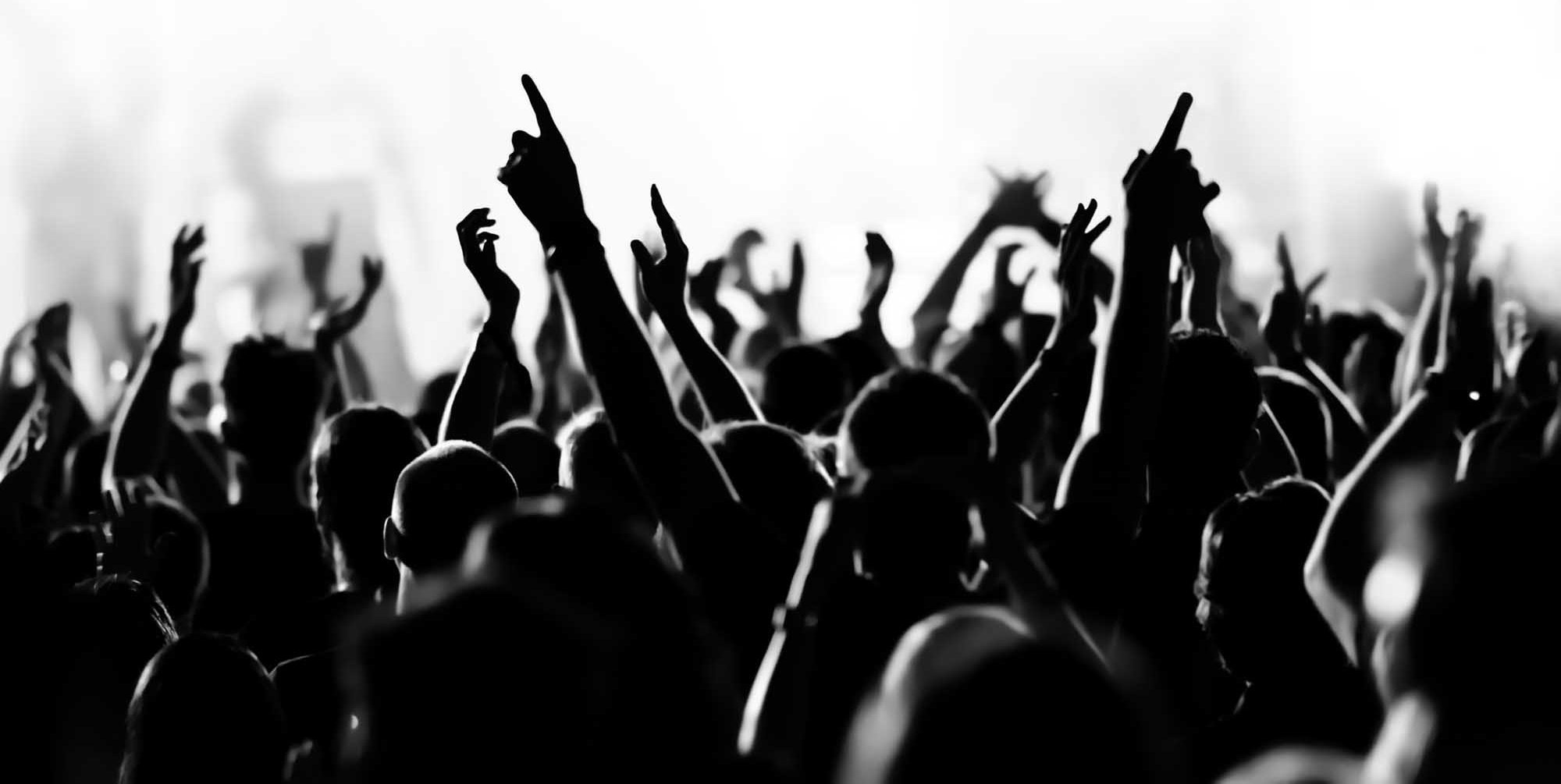 Concert Attendees Experience